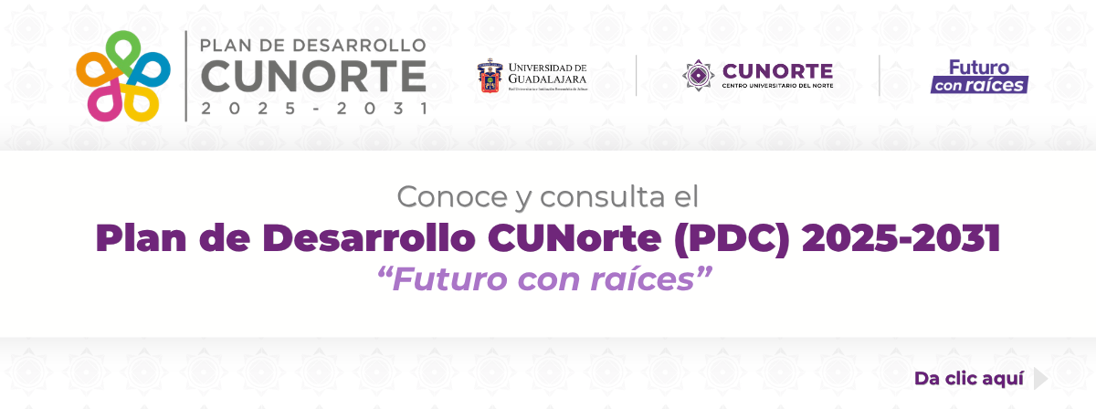 (53) PDC 2025-2031
