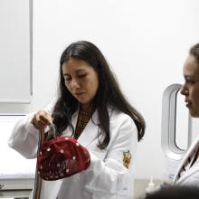 Estudiantes de Psicología realizan visita guiada al Laboratorio de Neurociencias Cognitivas