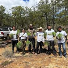 Estudiantes del CUNorte participan en jornada de reforestación en la Sierra Wixárika