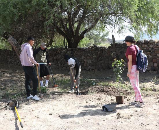 Concluyen con éxito las actividades del CUNorte en la Jornada Nacional de Tequios por la Paz y contra las Adicciones 