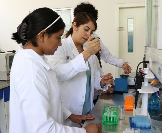 Estudiantes de Colombia y México Realizan su Verano de Investigación en CUNorte