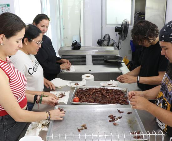 CUNorte impulsa el conocimiento en torno a la entomofagia
