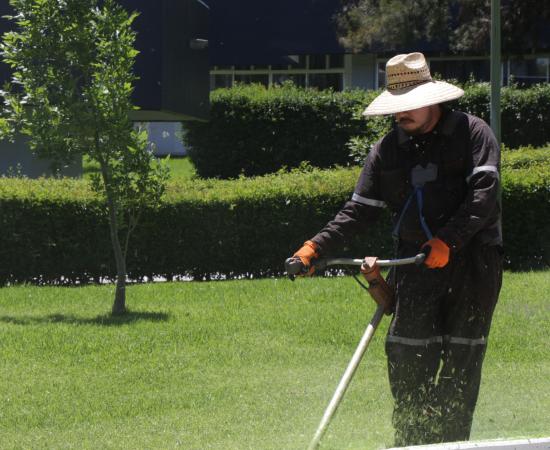 El CUNorte retoma actividades administrativas, después del periodo vacacional de verano