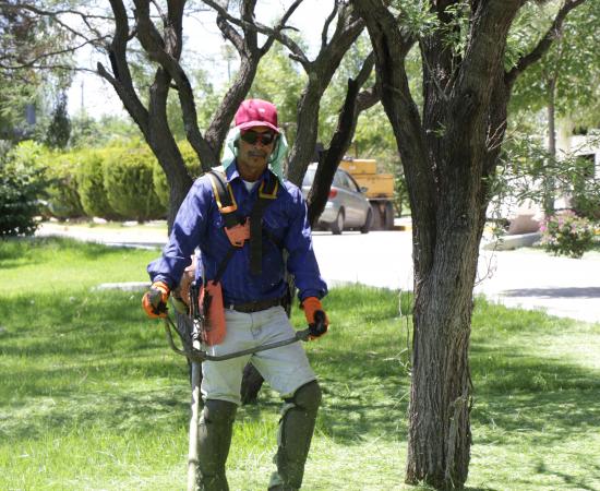 El CUNorte retoma actividades administrativas, después del periodo vacacional de verano