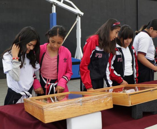 CUNorte recibe la “Colección Biológica Itinerante” del CUCSur