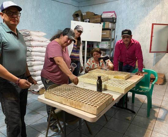 CUNorte participa en el proyecto Escuelas de Campo en Villa Guerrero, impulsado por Pronatura Sur y la JINOR