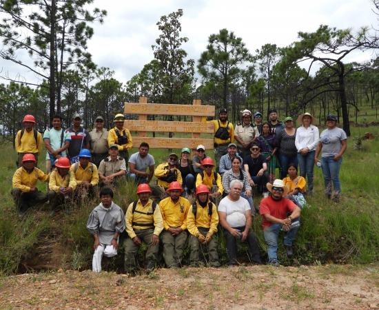 Realizan Jornada de Reforestación en la comunidad wixárika de Santa Catarina Cuexcomatitlán