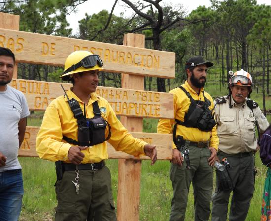Realizan Jornada de Reforestación en la comunidad wixárika de Santa Catarina Cuexcomatitlán