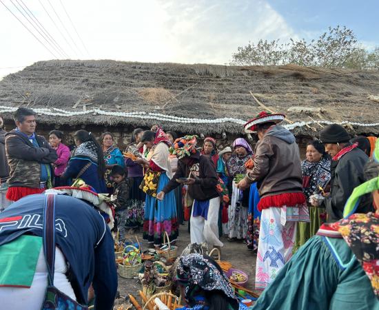 Estudiantes, docentes y autoridades del CUNorte participan en ceremonia wixárika para bendecir sede en Tuxpan de Bolaños