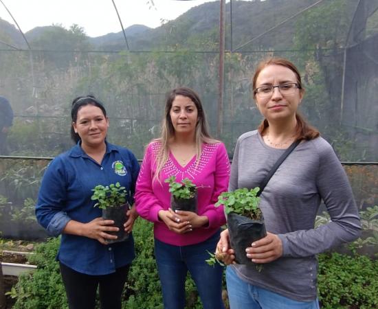 El CUNorte colabora con Juntas Intermunicipales de Medio Ambiente de Jalisco y las Escuelas del Campo 