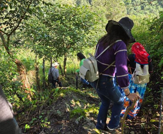 El CUNorte formaliza alianza con la UICEH para crear una Red de Estudios Interculturales