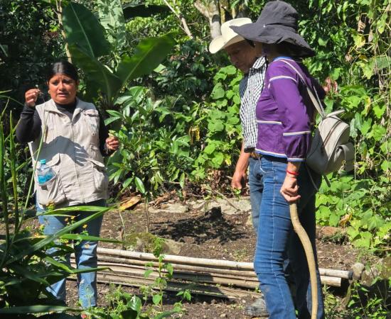 El CUNorte formaliza alianza con la UICEH para crear una Red de Estudios Interculturales