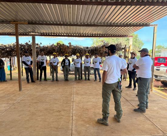 Estudiantes del CUNorte participan en jornada de reforestación en la Sierra Wixárika