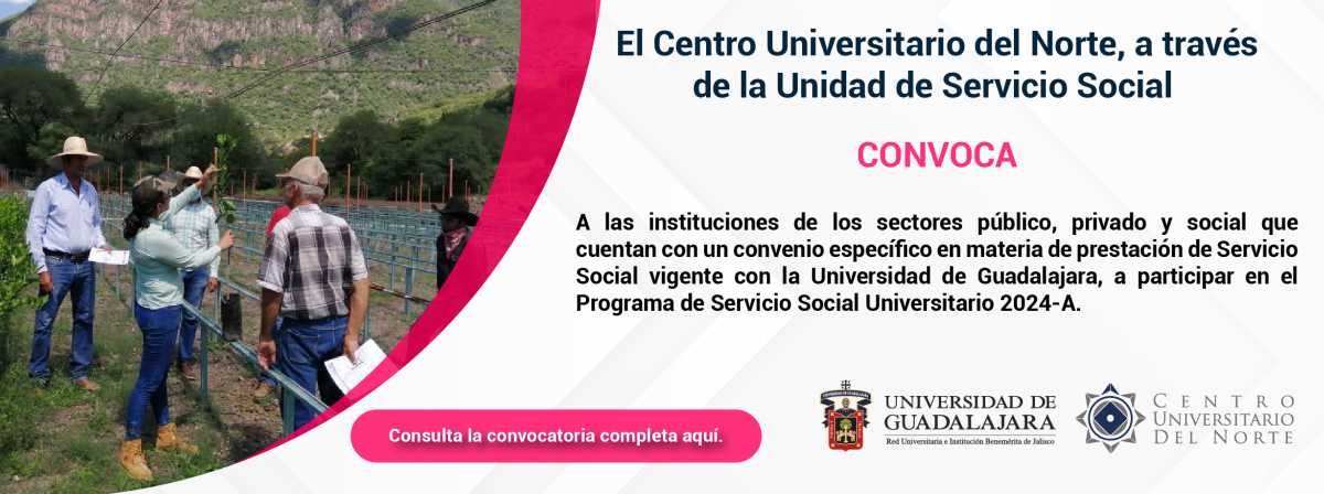 Convocatoria para Instituciones Servicio Social 2024-A