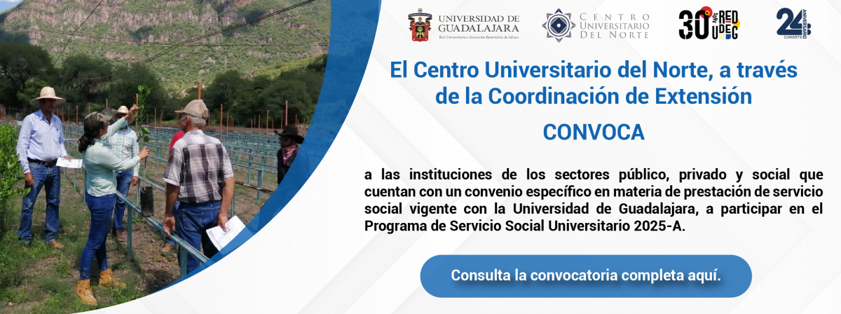 Convocatoria Servicio Social Instituciones 2025-A