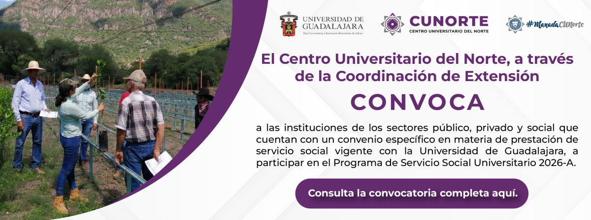 73 Servicio social dependencias